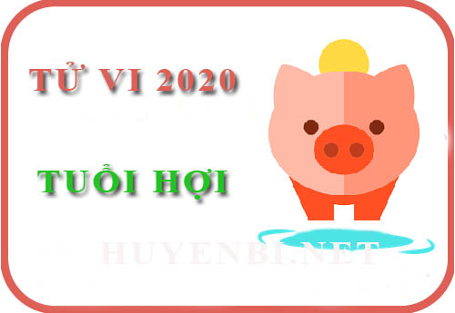 Tử vi năm 2020 của tuổi Hợi: Khá may mắn về sự nghiệp và tài lộc