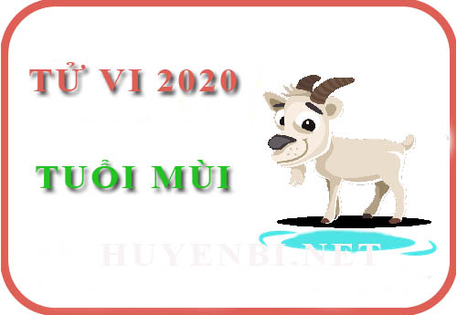 Tử vi năm 2020 của tuổi Mùi: Vận may lên xuống