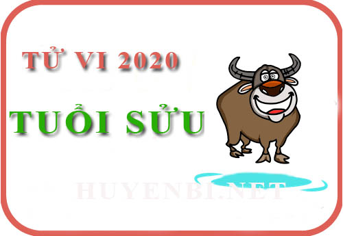 Tử vi năm 2020 của tuổi Sửu: Năm đầu tư, nhiều hứa hẹn