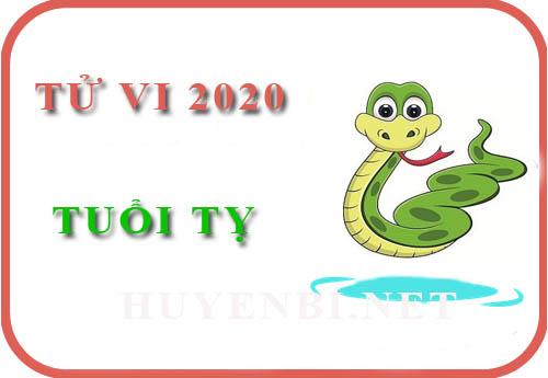 Tử vi năm 2020 của tuổi Tỵ: Nhiều cơ hội và may mắn