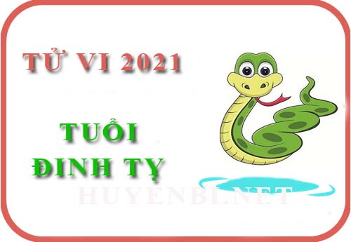 Luận tử vi năm 2021 tuổi Đinh Tỵ 1977 nam, nữ mệnh