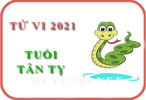 Luận giải Tử vi tuổi Tị năm 2021 Tân Sửu cho nam, nữ mệnh: Tân Tị, Quý Tị, Ất Tị, Đinh Tị, Kỷ Tị
