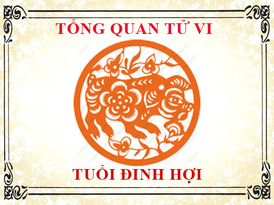Luận giải tử vi trọn đời tuổi Đinh Hợi - Nam mạng, Nữ mạng chi tiết nhất