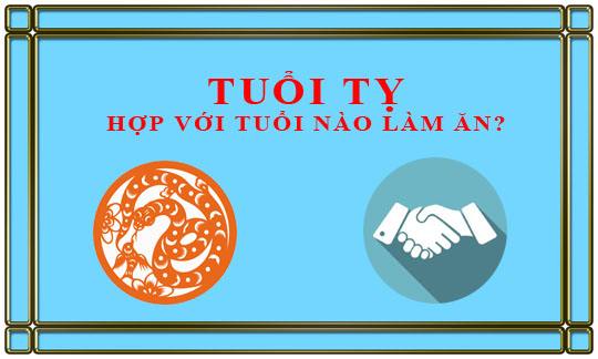 Tuổi Tỵ kết hợp làm ăn với tuổi nào để thành công