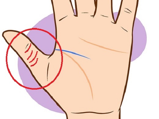 Tướng tay đặc biệt của người giàu sang phú quý