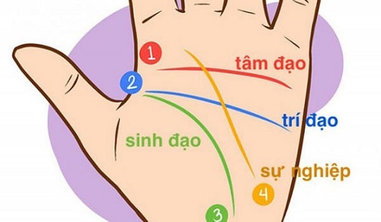 Xem chỉ tay biết ngày mình có số giàu sang, phú quý hay không
