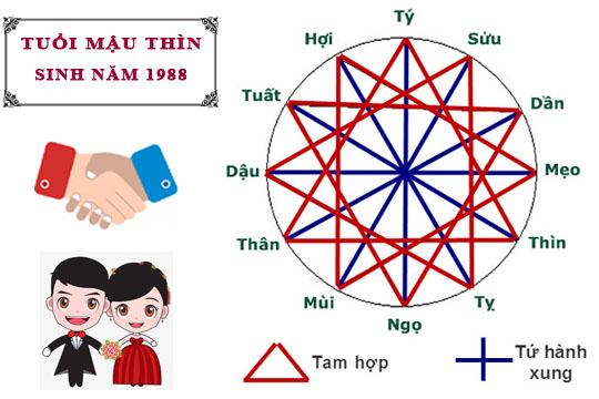 Tuổi Mậu Thìn hợp với tuổi nào trong làm ăn, tình yêu và hôn nhân