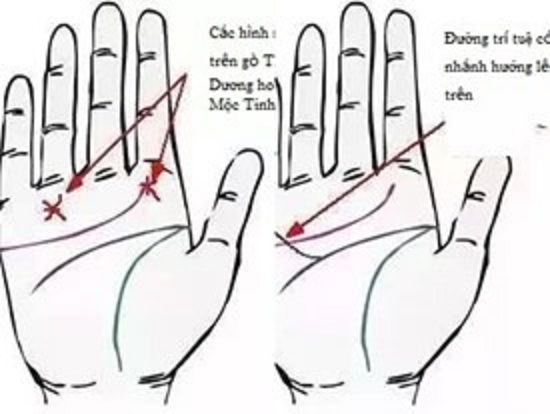 Sở hữu một 1 trong 4 đường chỉ tay sau đây, bạn có