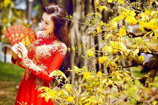 Xem ngày đẹp giờ tốt cho đầu xuân tết Đinh Dậu 2017