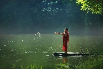 Ý nghĩa và việc làm tốt đẹp khi Phóng sinh