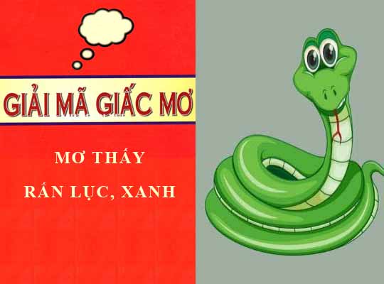 Giải mã: Nằm mơ thấy rắn lục xanh lành hay dữ? con số liên quan