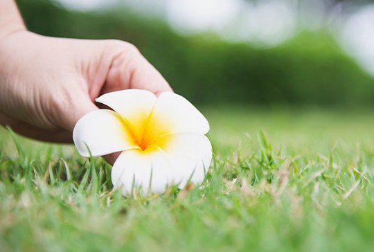 Câu chuyện triết lý: Điều cao thượng nhất