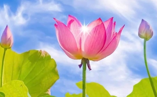 3 câu hỏi kinh thiên động địa, rung động lòng người