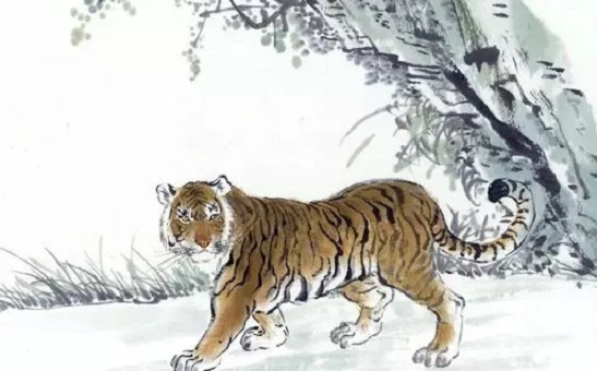 Những con giáp 