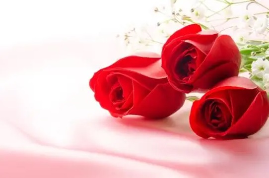 4 cung hoàng đạo khó phục vụ nhất, họ kén chọn và khó hòa đồng nhất