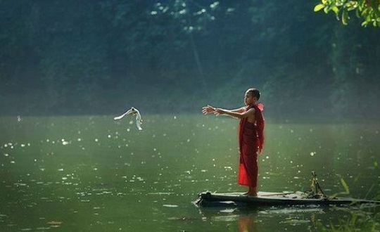 Đời người họa phúc luân chuyển, gặp chuyện bất hạnh đừng vội đau lòng