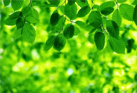 Màu sắc 12 cung hoàng đạo nên tránh kẻo gặp xui