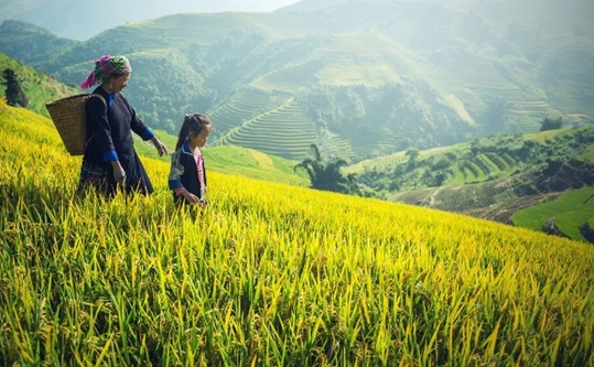 4 món nợ luật nhân quả xem trọng, không thể trả đủ trong một đời