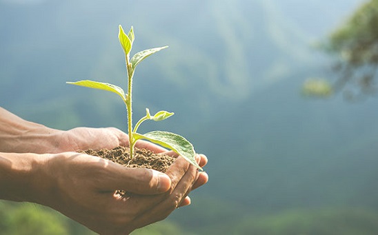 Quân tử không che giấu khuyết điểm