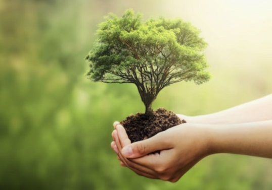 Sổ sinh tử của Diêm Vương: Phúc thọ của đời người đến từ đâu?