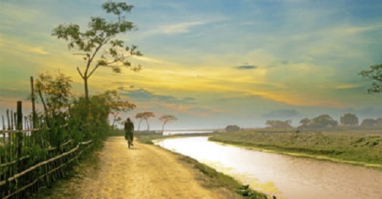 Thanh phúc đời người là biết tìm thấy trí huệ trong yên tịnh