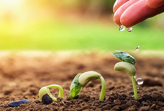 Trên thân mỗi người tự có phong thủy, chỉ cần dưỡng tốt một đời an yên
