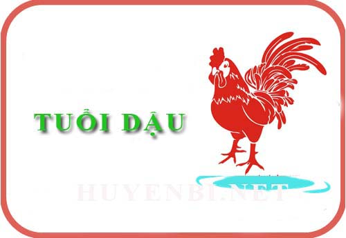 Luận giải tử vi tuổi Dậu năm 2025 Ất Tỵ (Tân Dậu, Quý Dậu, Ất Dậu, Đinh Dậu, Kỷ Dậu)