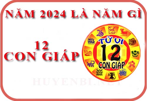 Khám phá năm 2024 năm con gì, mệnh gì và hợp với tuổi nào, màu sắc nào phù hợp...