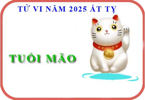 Luận giải tử vi tuổi Mão năm 2025 Ất Tỵ (Tân Mão, Quý Mão, Ất Mão, Đinh Mão, Kỷ Mão)