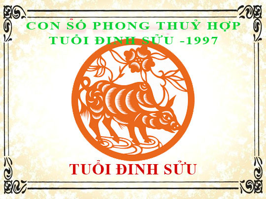 Sinh năm 1997 Đinh Sửu hợp với số mấy, và con số đường đời số nào?