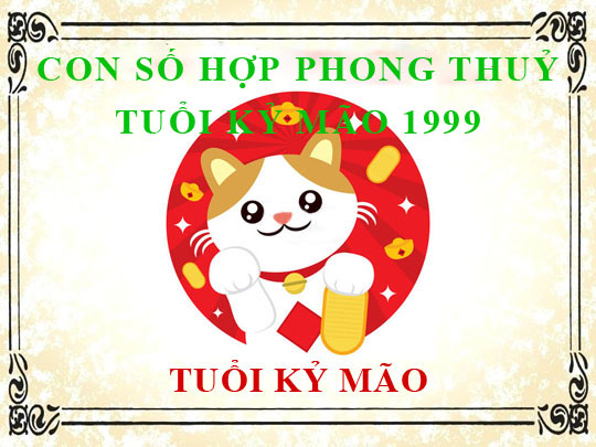 Sinh năm 1999 Kỷ Mão hợp với số mấy, và con số đường đời số nào?